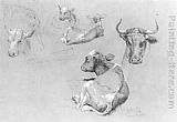 Studies of Cows and Calves by James McDougal Hart